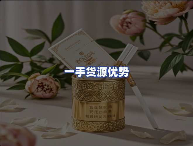 专业团队